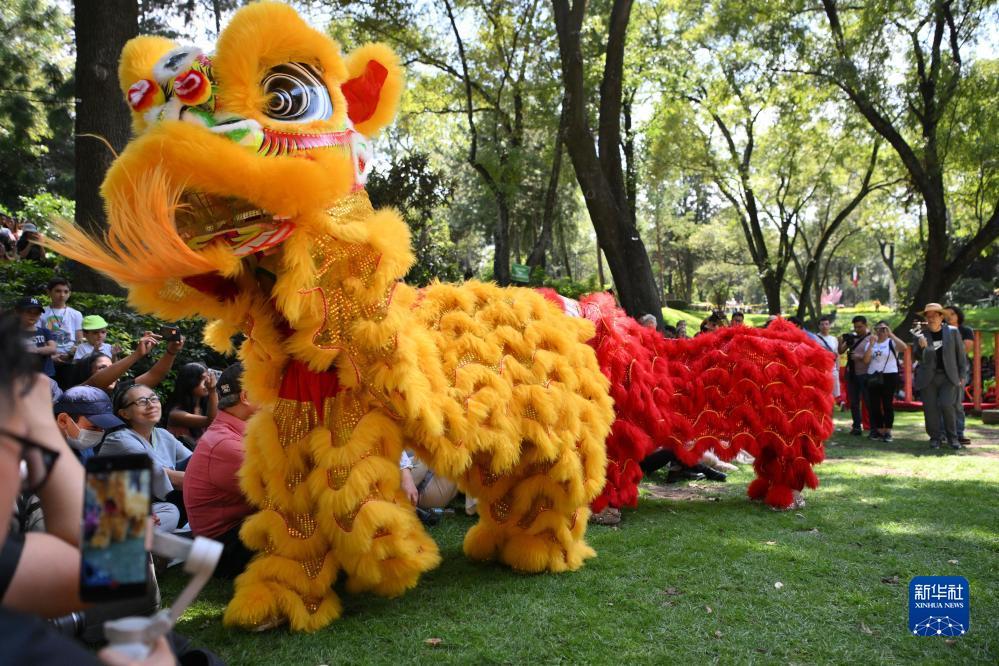 澳门大家乐怎么玩